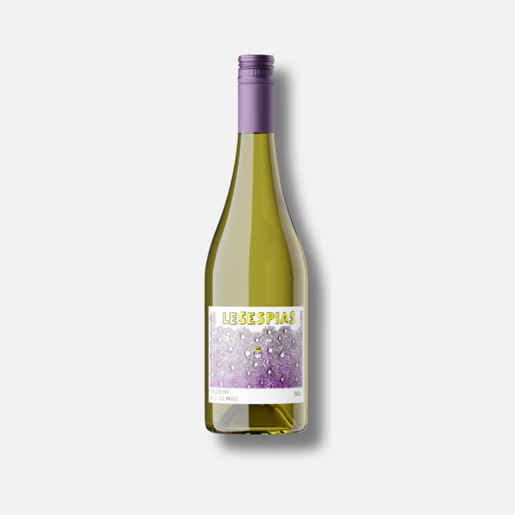 Moretta Wines Collection